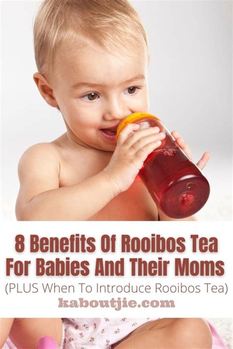 Can I give my 3 month old baby rooibos tea